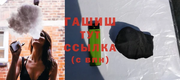 индика Инта