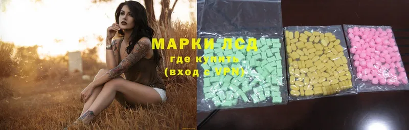 купить наркотик  Благодарный  Лсд 25 экстази ecstasy 