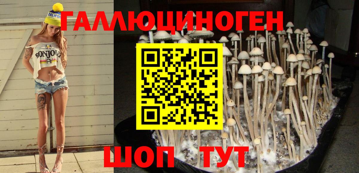 купить наркотик  Псилоцибиновые грибы MAGIC MUSHROOMS  Благодарный  Вход с VPN  Галлюциногенные грибы Psilocybe 