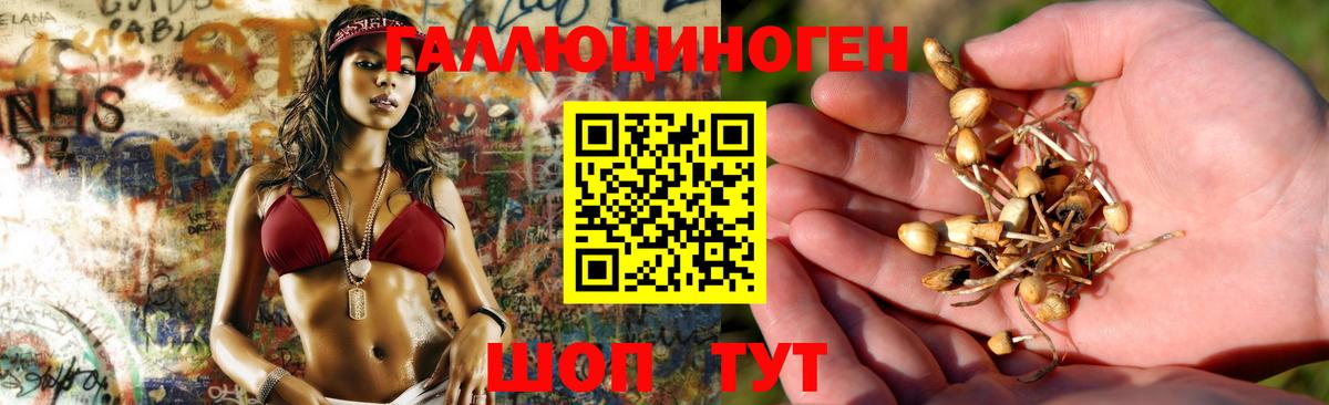 Псилоцибиновые грибы мицелий Благодарный